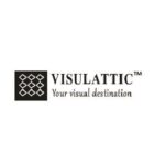 visulattic_logo